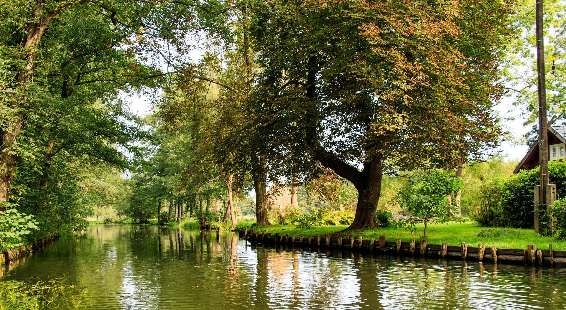 Fließ im Spreewald mit alten Bäumen am Ufer