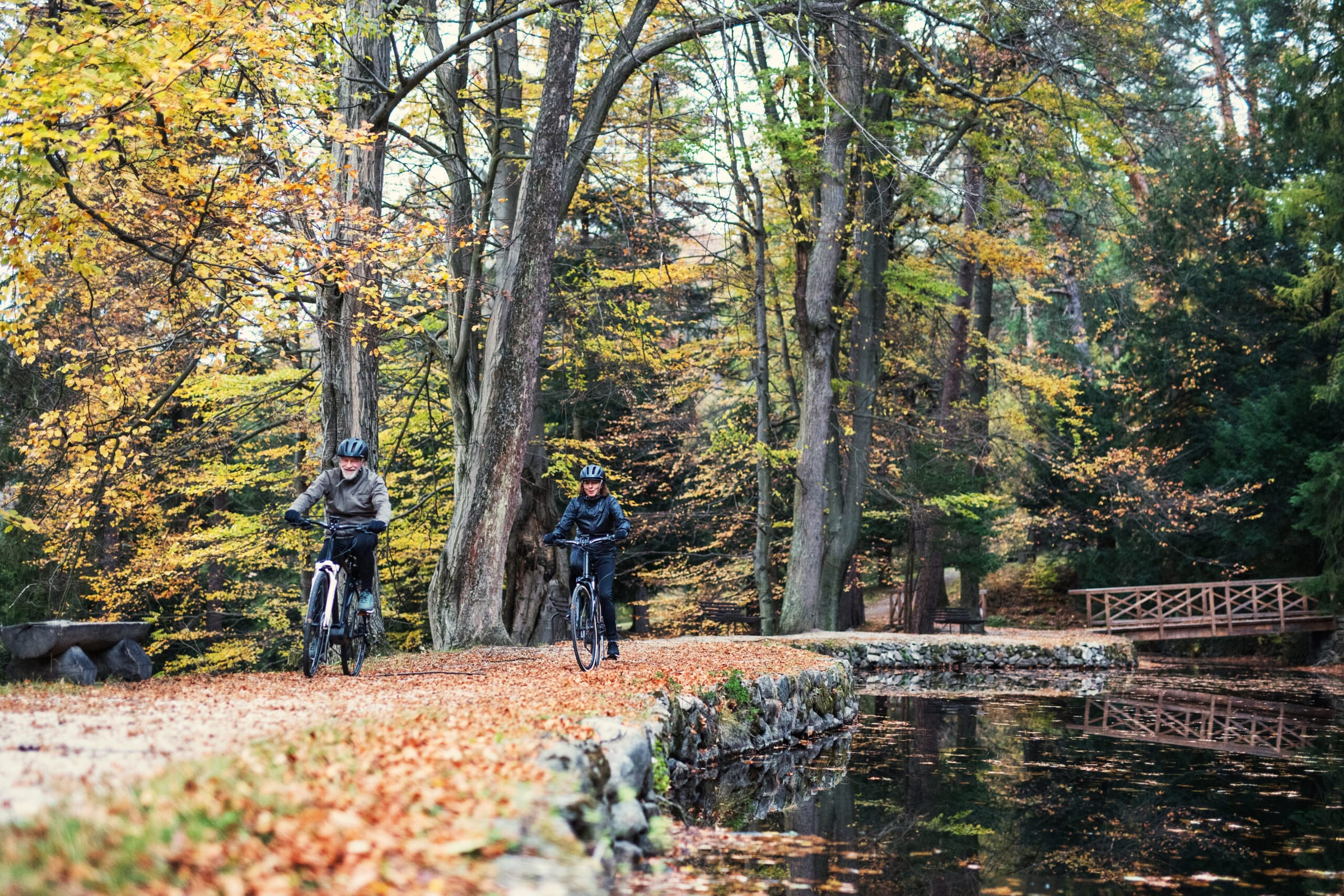 Paar mit E-Bikes auf einem herbstlichen Waldweg im Spreewald
