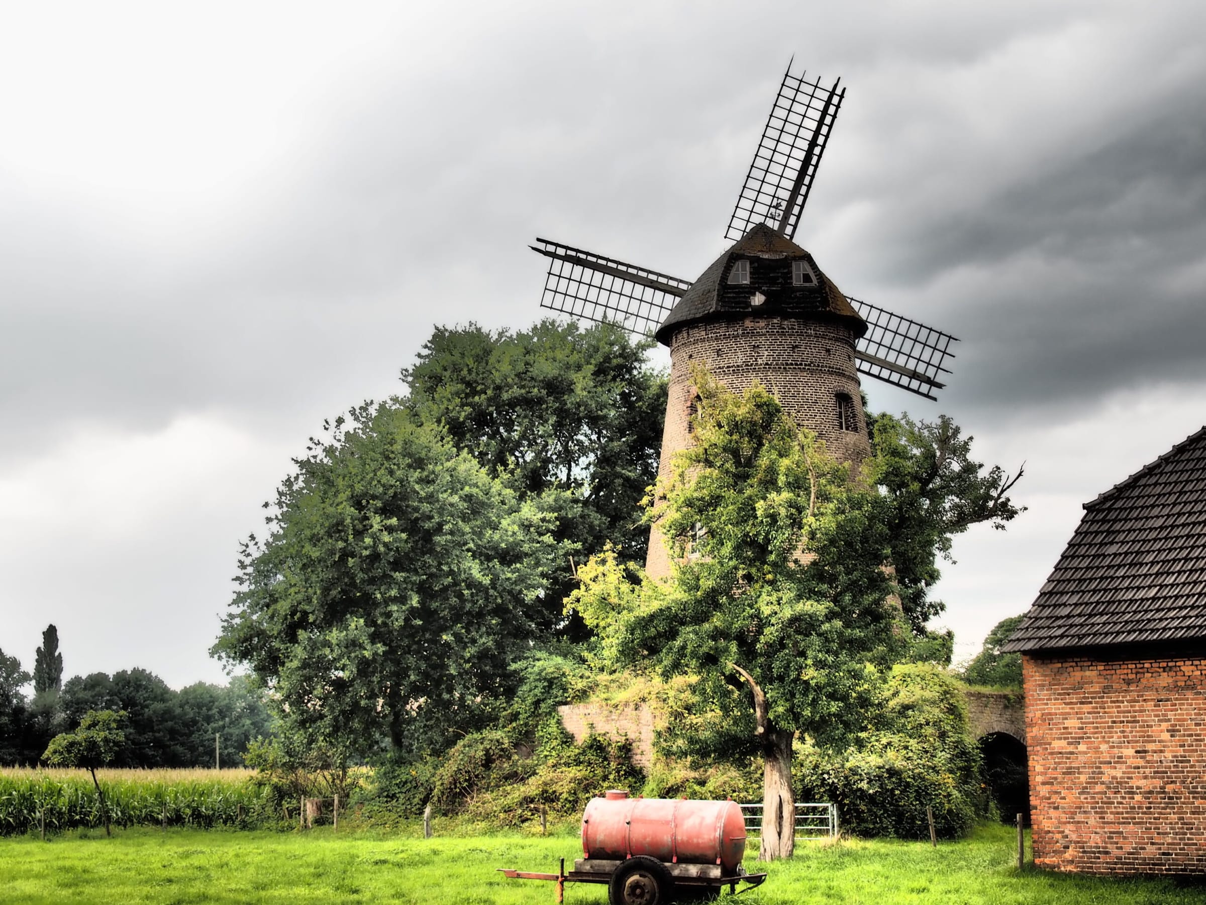 Historische Windmühle zwischen Bäumen im Spreewald